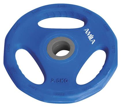 Amila Pump Rubber Δίσκος Λαστιχένιος 1 x 2.5kg Φ28mm με Λαβές