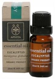 Apivita Eucalyptus Essential Oil Βιολογικό Αιθέριο Έλαιο Ευκάλυπτος 10ml