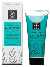 Apivita Eycalyptus Κρέμα για Διευκόλυνση της Αναπνοής 40ml από το Pharm24