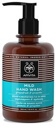 Apivita Mild Hand Wash Απαλό Καθαριστικό Χεριών με Γκρέιπφ Gel για τα Χέρια 300ml