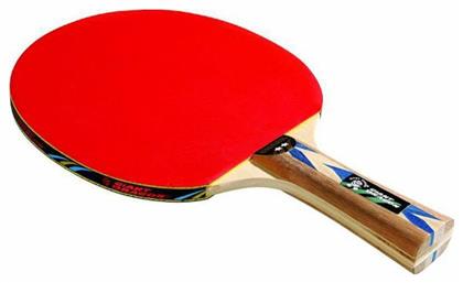 Αθλοπαιδιά Ρακέτα Ping Pong για Αρχάριους Παίκτες από το Outletcenter