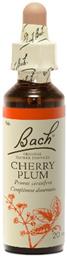 Bach Cherry Plum Ανθοΐαμα σε Σταγόνες για Χαλάρωση 20ml