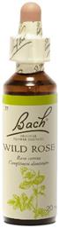 Bach Wild Rose Ανθοΐαμα σε Σταγόνες 20ml από το Pharm24