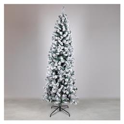 Χιονισμένο Δέντρο Ακίτα