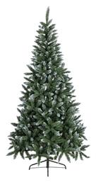 Χιονισμένο Δέντρο Alpine