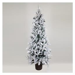 Χριστουγεννιάτικο Δέντρο Ελβετία 210εκ. Χιονισμένο με Ξύλινο Κορμό