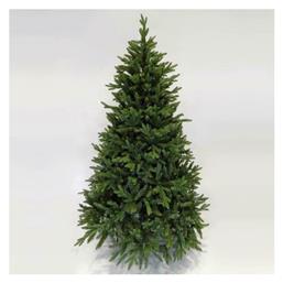 Δέντρο Νορβηγίας