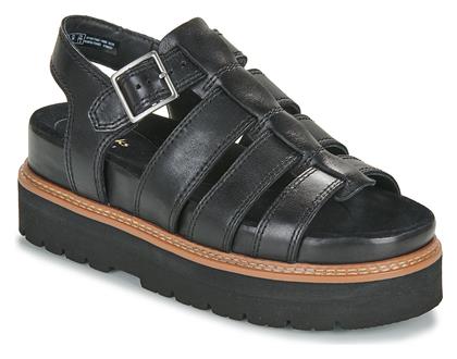 Clarks