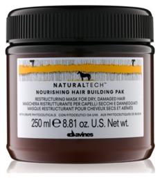 Davines Naturaltech Nourishing 250ml