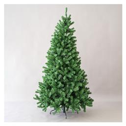 Δέντρο Αλαμπάμα