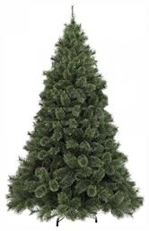 Δέντρο Cashmere