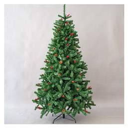 Δέντρο Columbia