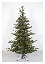 Δέντρο REAL FIR