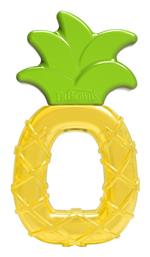 Dr. Brown's Μασητικό Οδοντοφυΐας με Νερό από Σιλικόνη για 3 m+