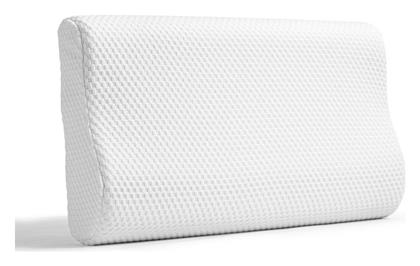 DreamHouse Contour Memory Foam Ανατομικό Μέτριο 40x60x12cm