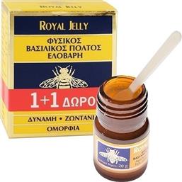 Ελοβάρη Royal Jelly Φυσικός βασιλικός πολτός 2 x 20gr από το Pharm24