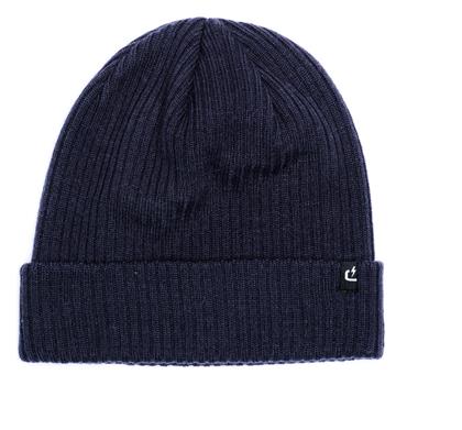 Emerson Ανδρικός Beanie Σκούφος σε Μπλε χρώμα