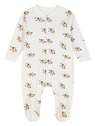 Energiers Φορμάκι Εκρού