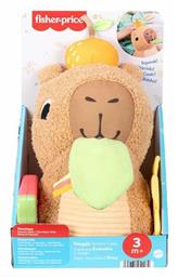 Fisher Price Βρεφικό Παιχνίδι