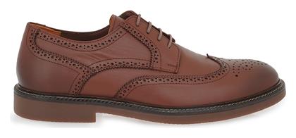 ΑΝΔΡΙΚΑ OXFORDS