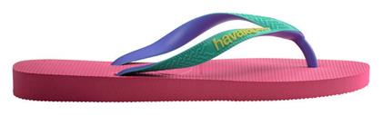 Havaianas Σαγιονάρες σε Τιρκουάζ Χρώμα