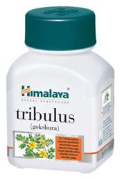 Himalaya Wellness Tribulus Gokshura 60 κάψουλες