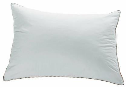 Kentia Hollow Hollowfiber Ανατομικό Μέτριο