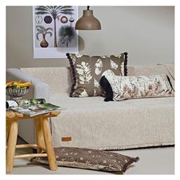 Kentia Ριχτάρι Kanon