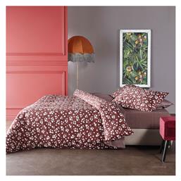 Kentia Σετ Σεντόνια Υπέρδιπλα 240x270 Louta 05