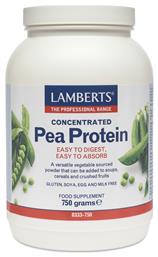 Lamberts Concentrated Pea Protein 750gr