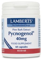 Lamberts Pycnogenol 40mg 60 κάψουλες