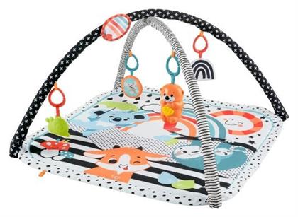 Mattel Γυμναστήριο Δραστηριοτήτων με Μουσική Πολύχρωμο για Νεογέννητα (MxΠ) 46x76cm