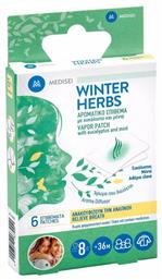 Medisei Winter Herbs Αρωματικό Επίθεμα με Ευκάλυπτο και Μέντα 6τμχ από το Pharm24