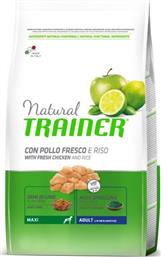 Natural Trainer Adult Maxi 12kg Ξηρά Τροφή για Ενήλικους Σκύλους Μεγαλόσωμων Φυλών με Ρύζι και Κοτόπουλο