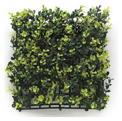 Newplan Συνθετικό Πάνελ Φυλλωσιάς A003 Buxus 50x50cm από το Designdrops