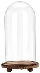 Next Διακοσμητικό Χώρου από Γυαλί 15x15x28cm