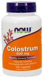 Now Foods Colostrum Συμπλήρωμα για την Ενίσχυση του Ανοσοποιητικού 500mg 120 φυτικές κάψουλες από το Pharm24