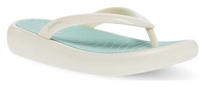Parex Flip Flops