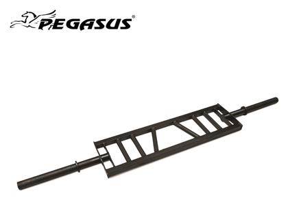 Pegasus Μπάρα Τρικεφάλων Ολυμπιακού Τύπου Φ50 20kg Μήκους 210cm με Κολάρα Ασφαλείας από το Plus4u