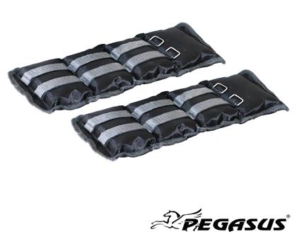 Pegasus Βαράκια Άκρων 2 x 2kg από το Plus4u