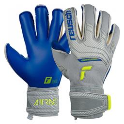 Reusch Attrakt Gold X Evo Γάντια Τερματοφύλακα Ενηλίκων Γκρι