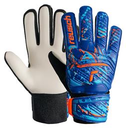 Reusch Attrakt Starter Solid Γάντια Τερματοφύλακα Ενηλίκων Μπλε από το MybrandShoes