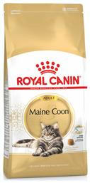 Royal Canin Maine Coon Adult