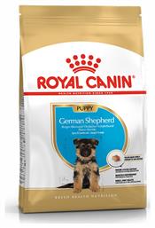 Royal Canin Puppy German Shepherd