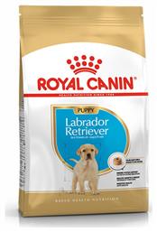 Royal Canin Puppy Labrador Retriever 3kg Ξηρά Τροφή για Κουτάβια Μεγαλόσωμων Φυλών με Πουλερικά, Ρύζι και Καλαμπόκι