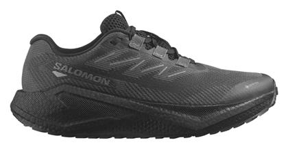 Salomon