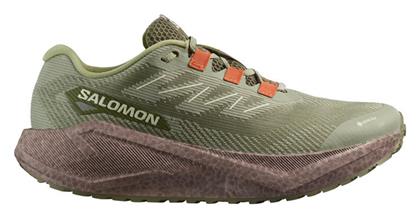 Salomon Aero Blaze 3 Goretex Ανδρικά Ορειβατικά Πράσινα