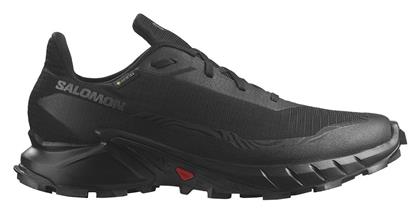 Salomon Alphacross 5 GTX Ανδρικά Running Gore-Tex Black Peat / Sulphur / Spring