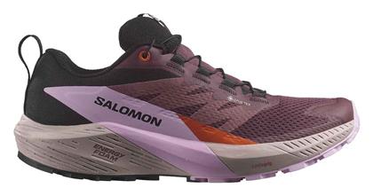 Salomon Sense Ride 5 Γυναικεία Running Gore-Tex Μωβ