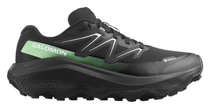 Salomon Ultra Flow Ανδρικά Ορειβατικά Gore-Tex